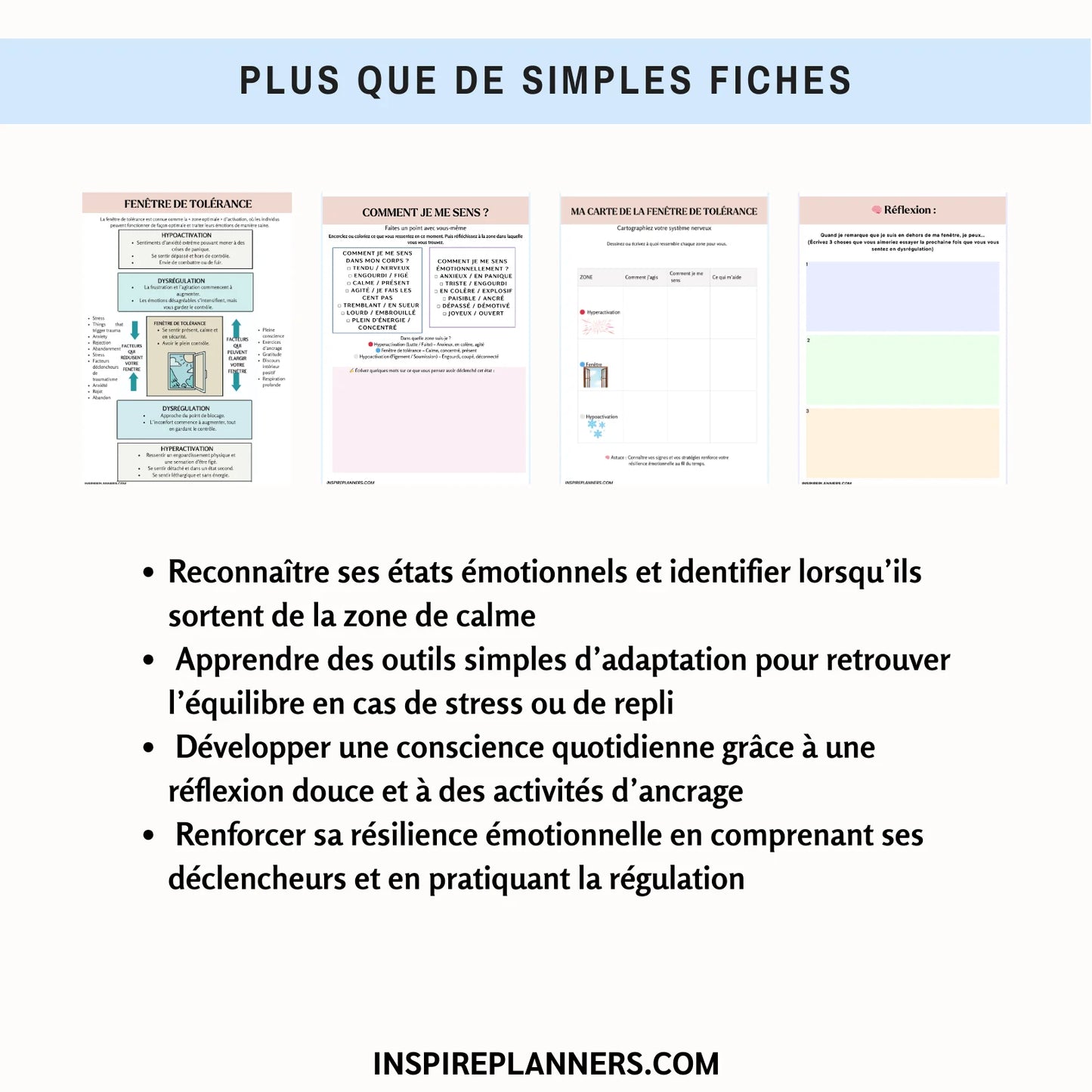 Cahier d’Exercices de la Fenêtre de Tolérance – Régulation Émotionnelle & Ressources pour le Système Nerveux - French