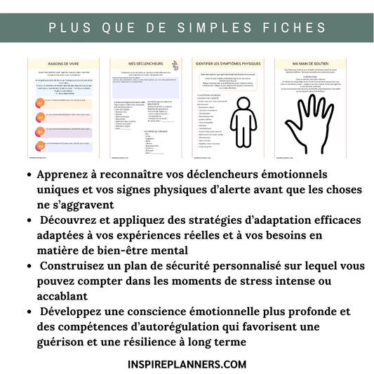 Cahier de Plan de Sécurité – Gestion de Crise & Ressources de Sécurité en Santé Mentale - French