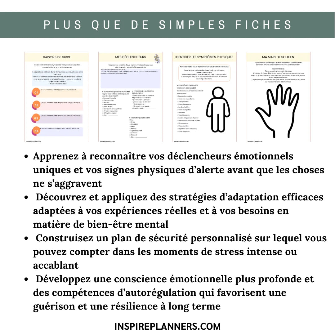 Cahier de Plan de Sécurité – Gestion de Crise & Ressources de Sécurité en Santé Mentale - French