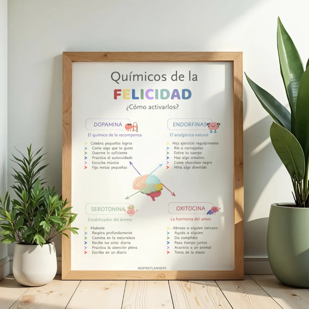 5 Pósters de Bienestar Emocional — Rincones de Calma, Aulas, Terapia y Hogares (Spanish)