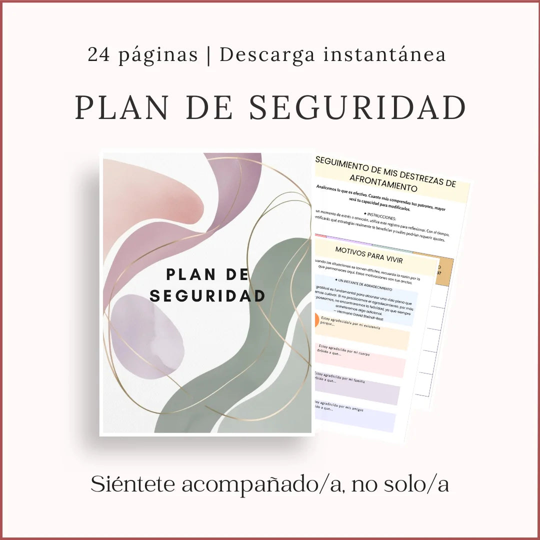 PLAN DE SEGURIDAD